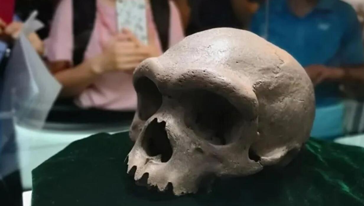 第1次听说，科学家发现新人种龙人，难道地球真存在龙这种生物？