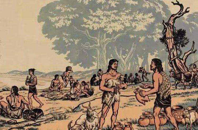 而人类女性却比男性漂亮?