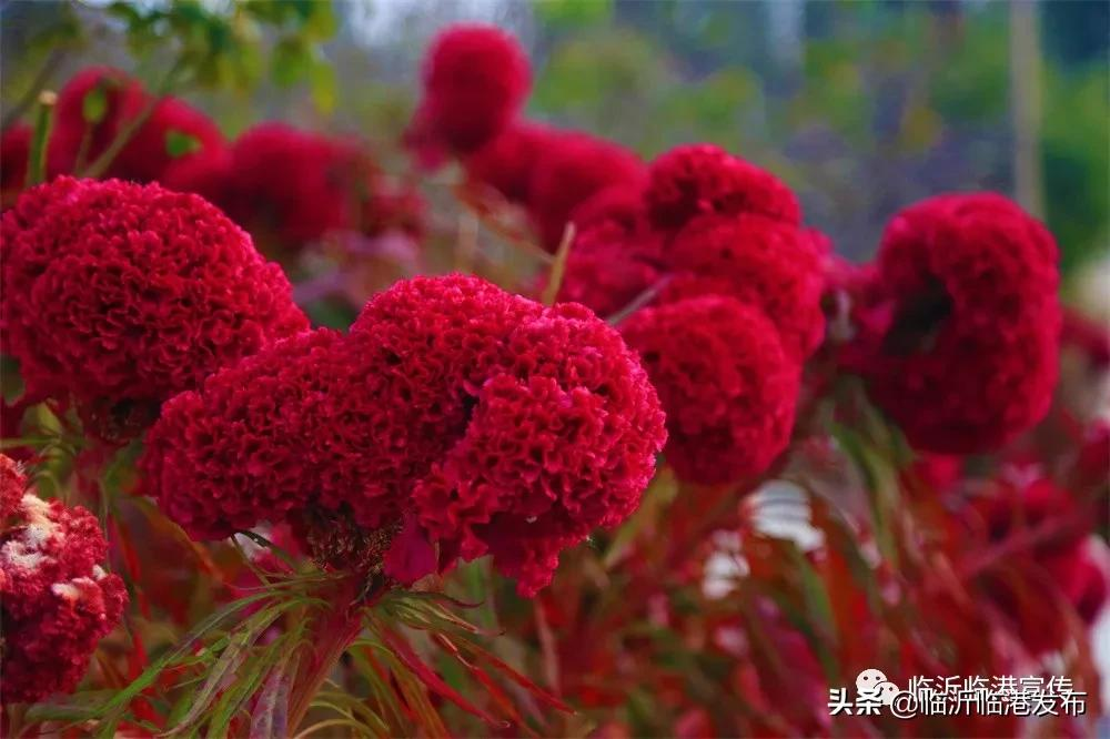 醉美大山空，与初冬的邂逅！