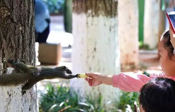 高校各种“神兽”出没，你的大学有什么？