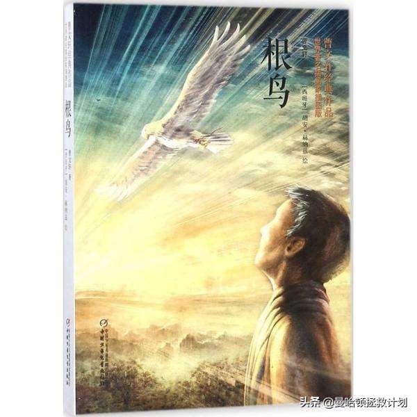 《根鸟》:想要接近少年的天空,就要明白他为什么做梦
