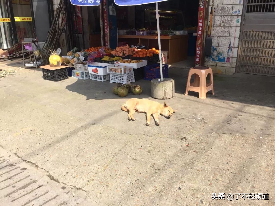 如果你不够潮，请回家问问你大爷，该怎么做