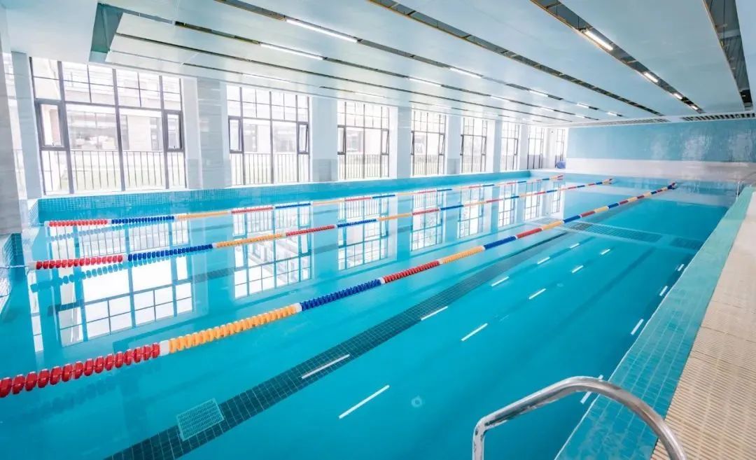 城北高端私立学校！新川vs巴德，选哪所更明智？