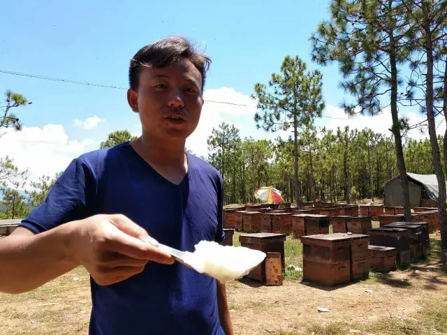 大地花间，随遇而安，养蜂人——追花寻蜜，做世间最美的旅者