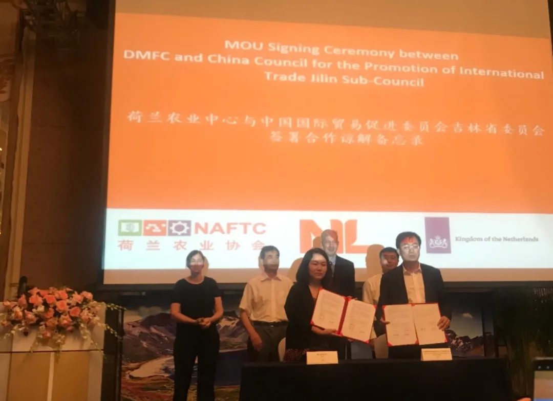 原来，荷兰是个猪猪天堂