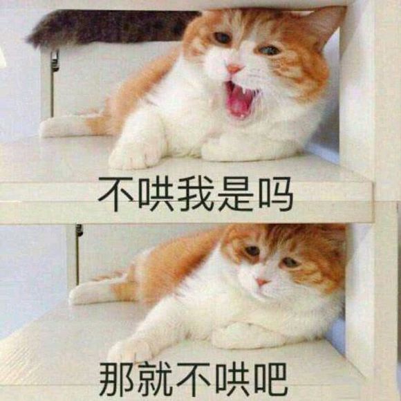 猫咪表情包｜劳资的心，收好