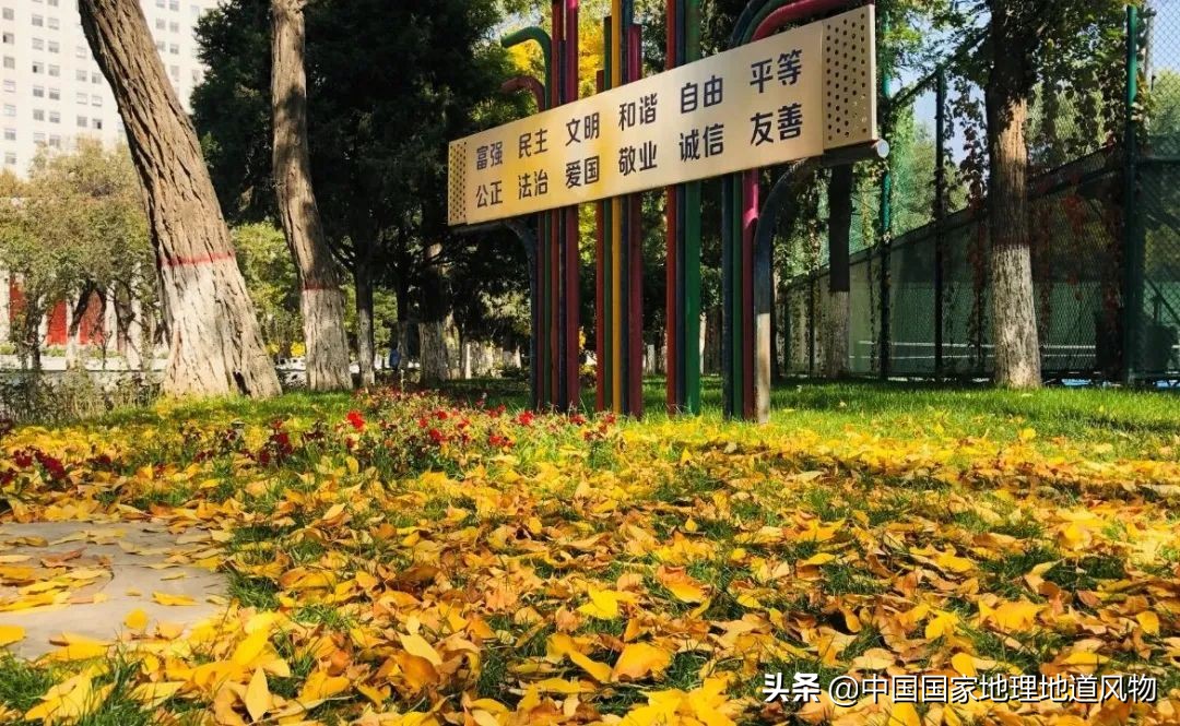 兰州大学，为什么是中国高校江湖扫地僧？