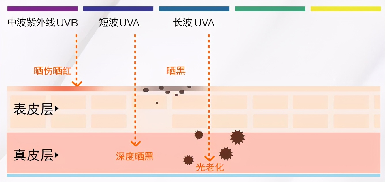 测评15款网红防晒！某宝销量6W+，我劝你别买