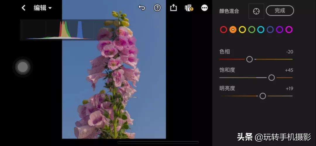 拍花后期！调色用对了，就很有春天的感觉