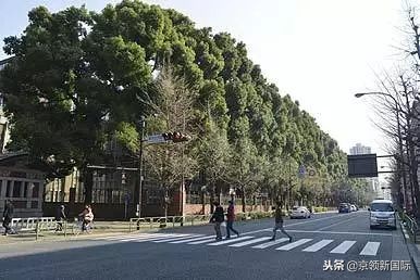 东京大学：历史古都中的现代学府