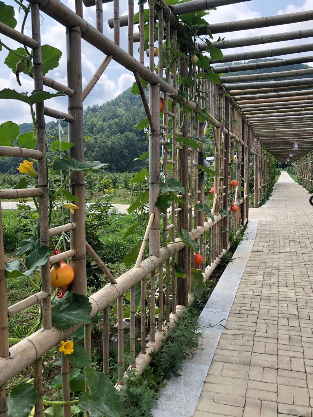 花硒谷，建始的避暑房到底值得入手吗，咱们来看看究竟