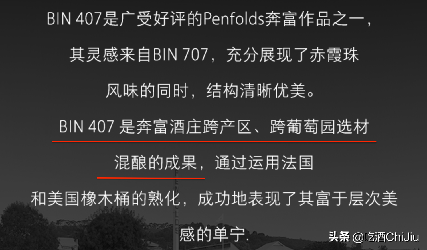 宴请时的“奔富407”，有什么来历故事？