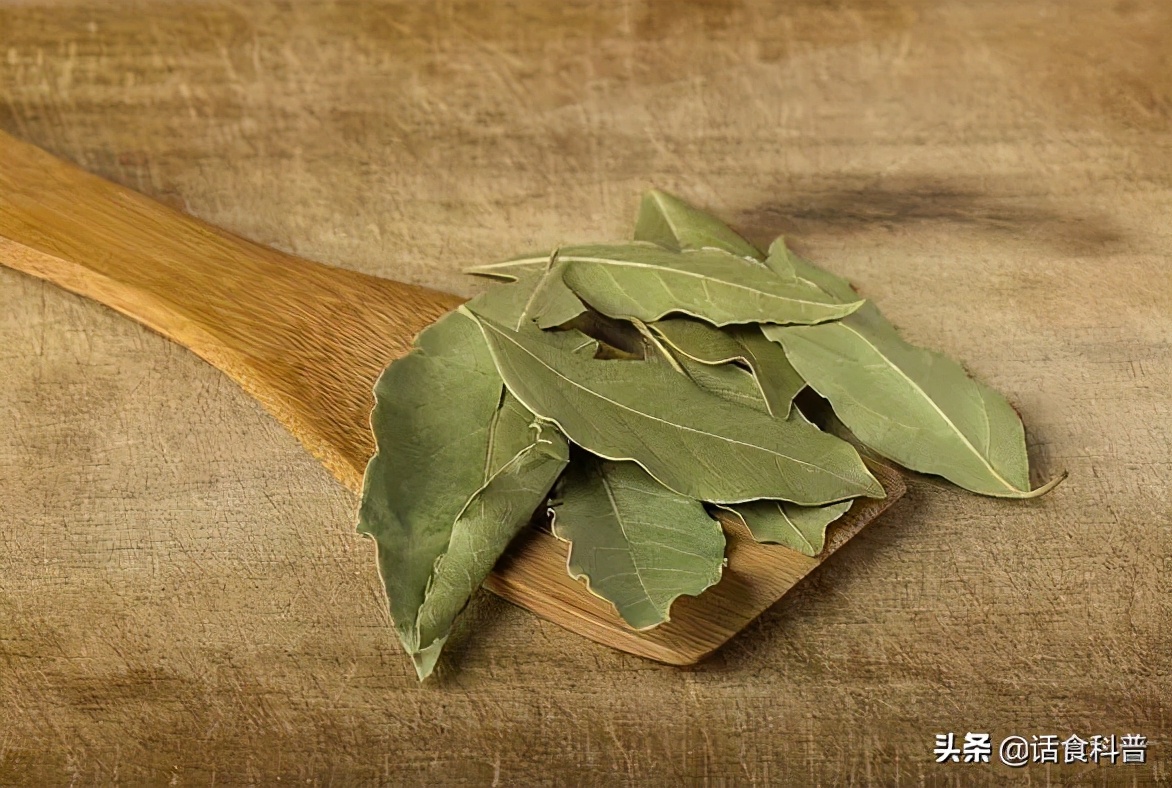 神奇的调味叶子,香叶与罗勒你可不要用错