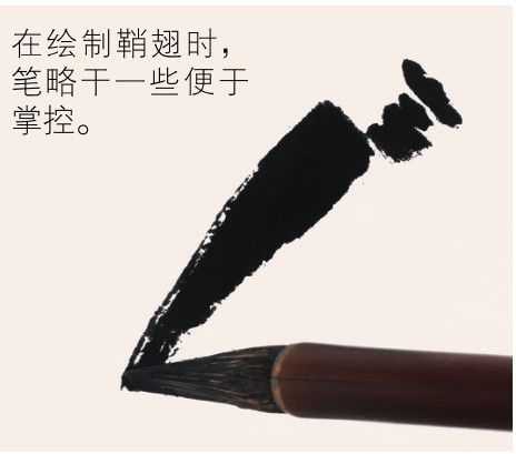 蜻蜓蝴蝶不会画？那是你没有学会这几点，简单易学的国画，快收藏