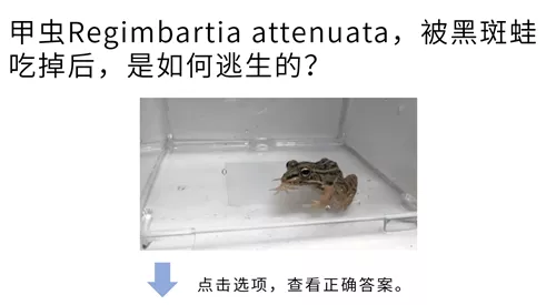 高考大作战!20道冷门又难解的试题等你来解答