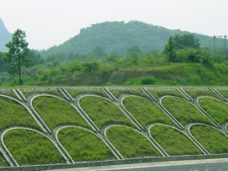 狗牙根种子（能种出美丽草坪的狗牙根种植详情）