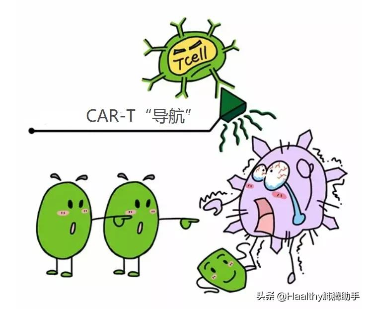 淋巴细胞 卡通图片图片