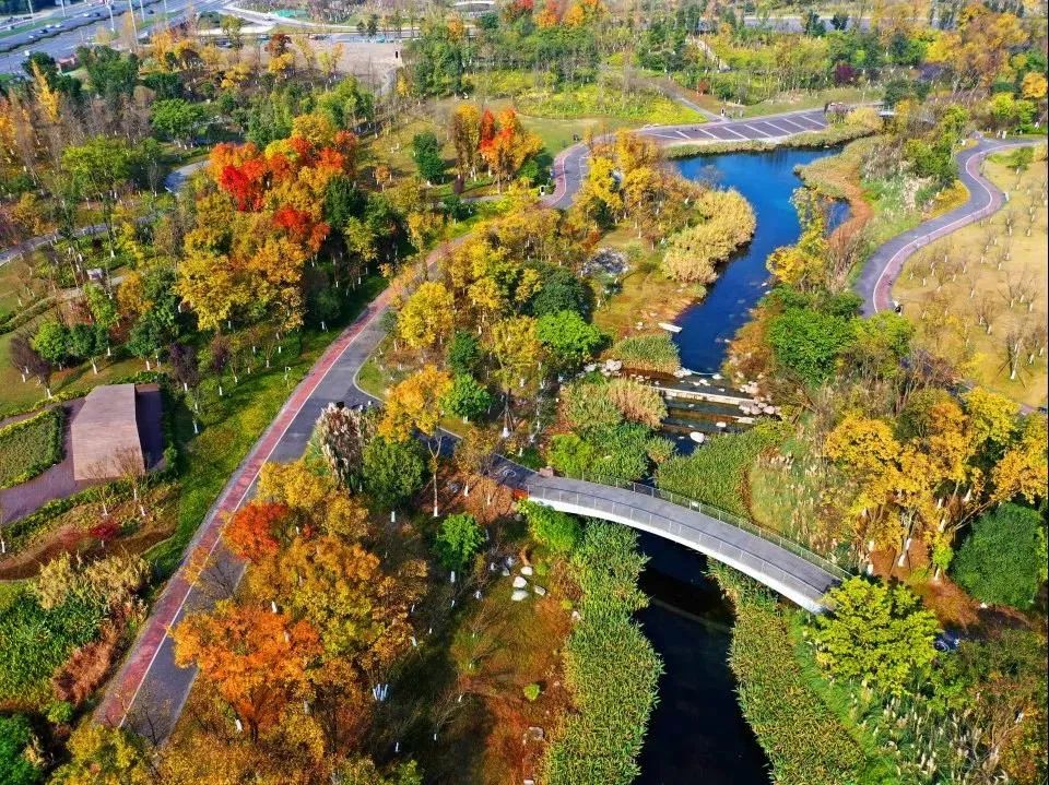 麓湖畔这个新项目，看完就想住进去