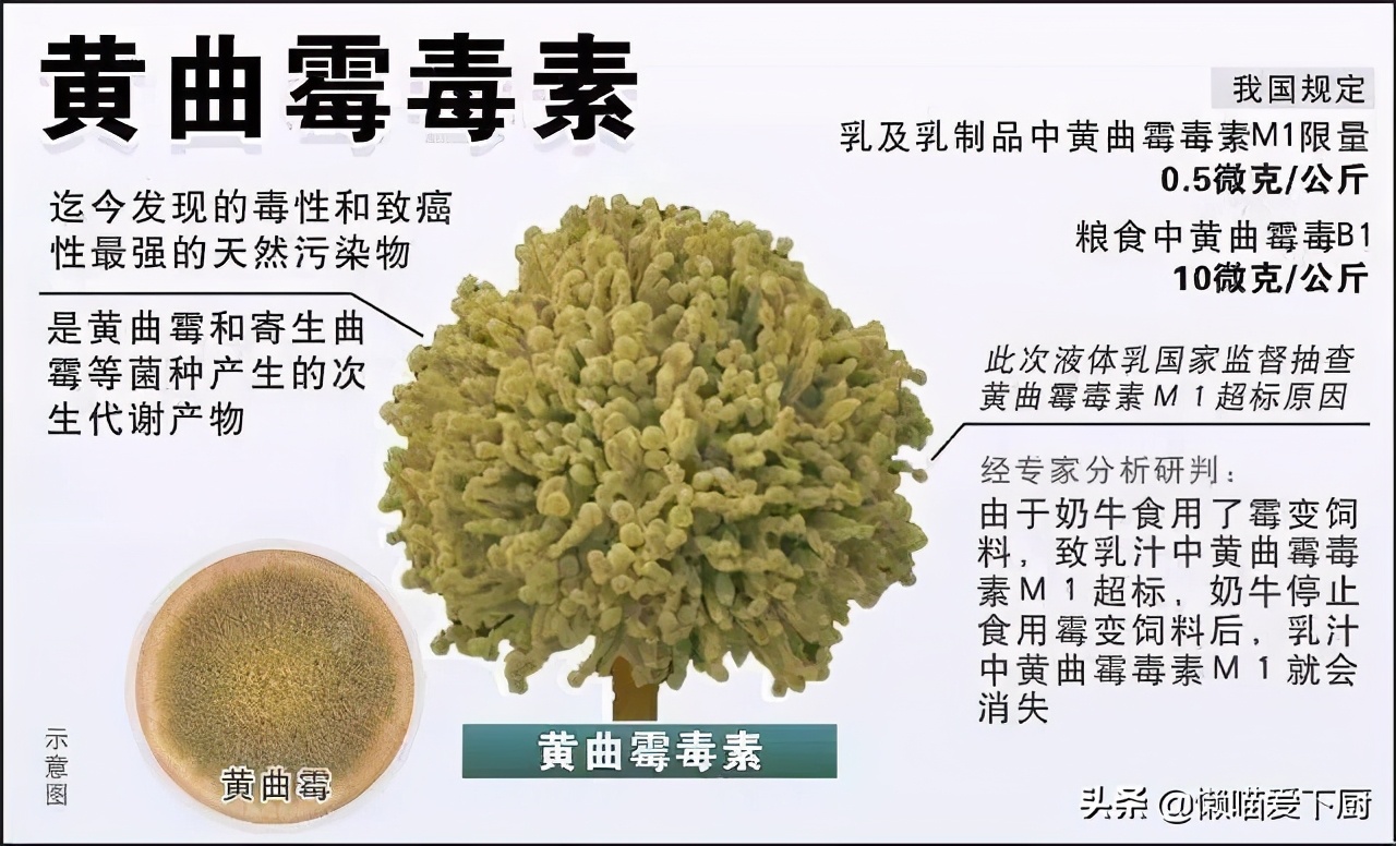 酸湯子的做法,酸湯子的做法怎么和面