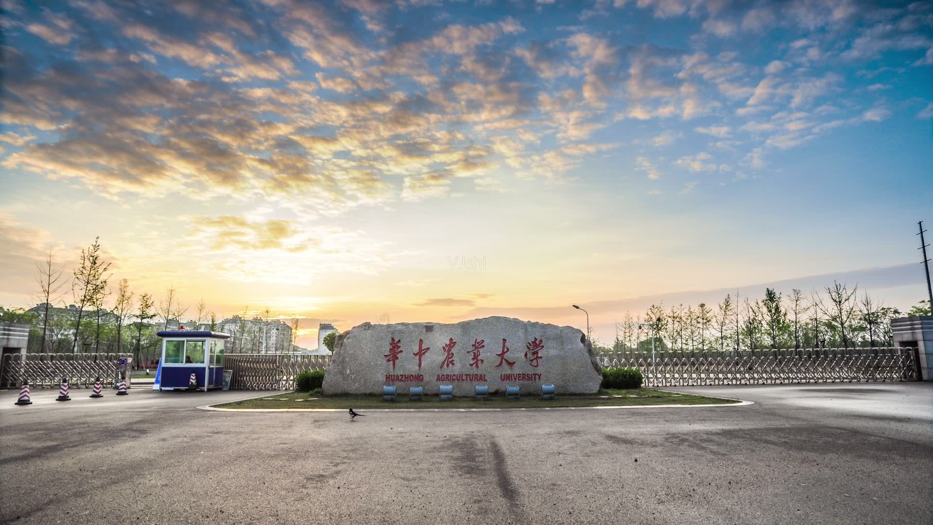 211大学食堂卖"天价扣肉",学校吃相难看,学生羊毛这么好薅?