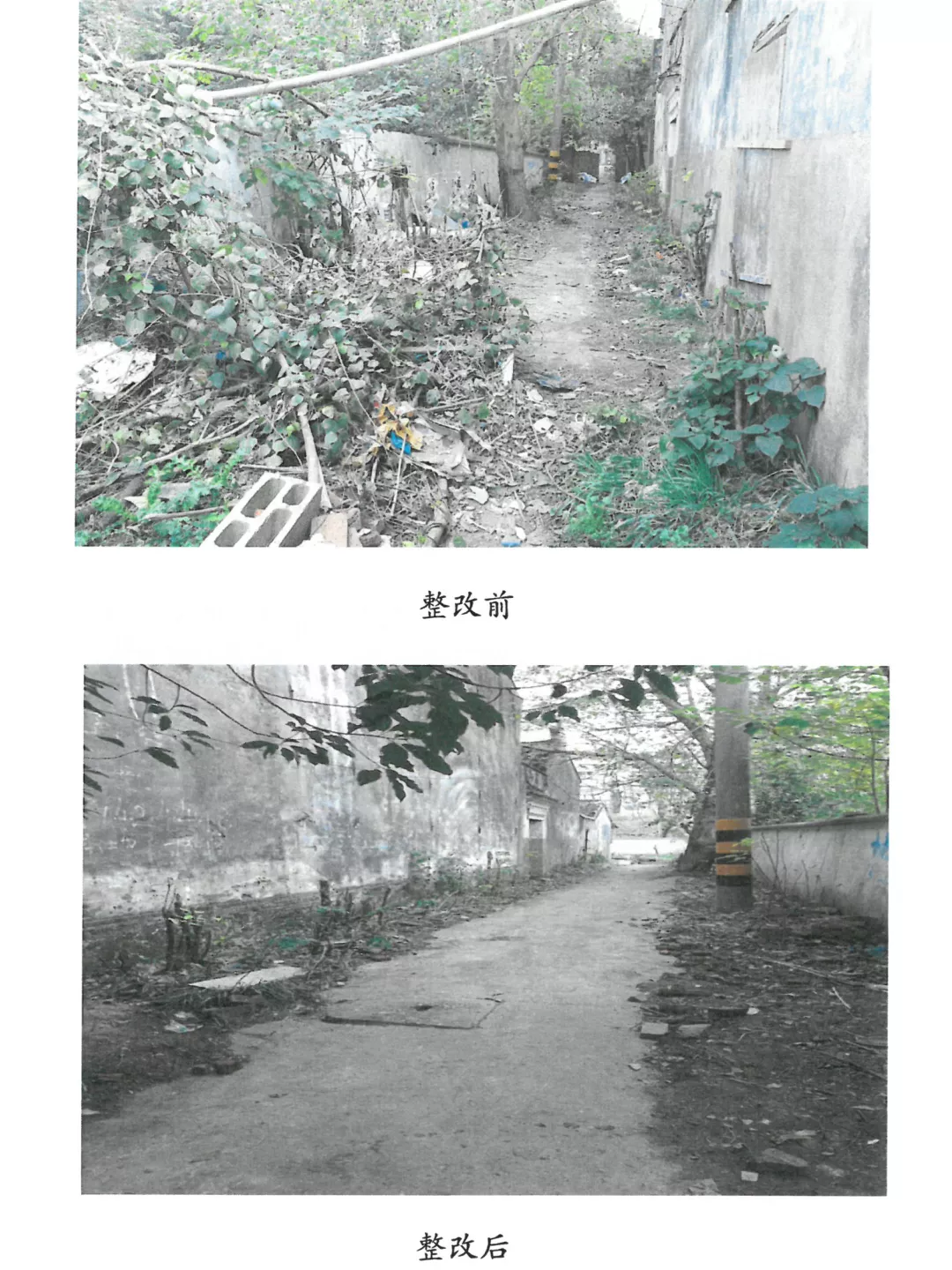 【“两在两同”建新功】快看!是什么让百年文物“活”了起来?