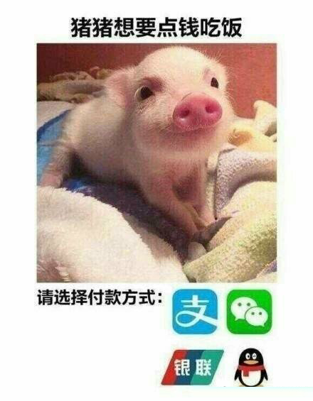 女孩哭穷表情包:别人都是用香奈儿包LV包宝格丽包,而我用表情包