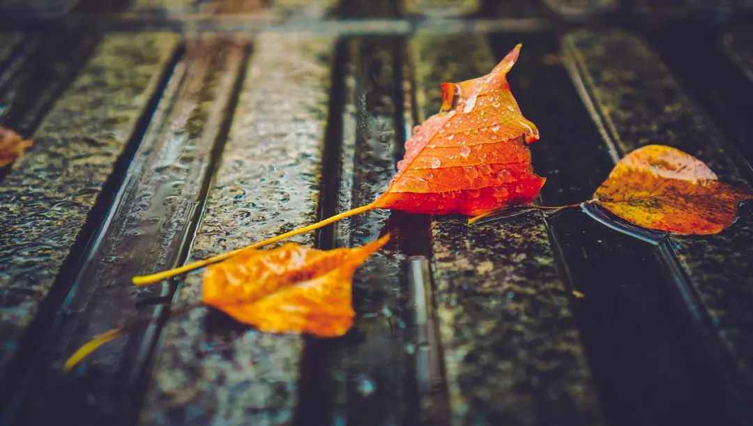 形容下雨的诗句唯美(最适合发朋友圈的30句诗词)