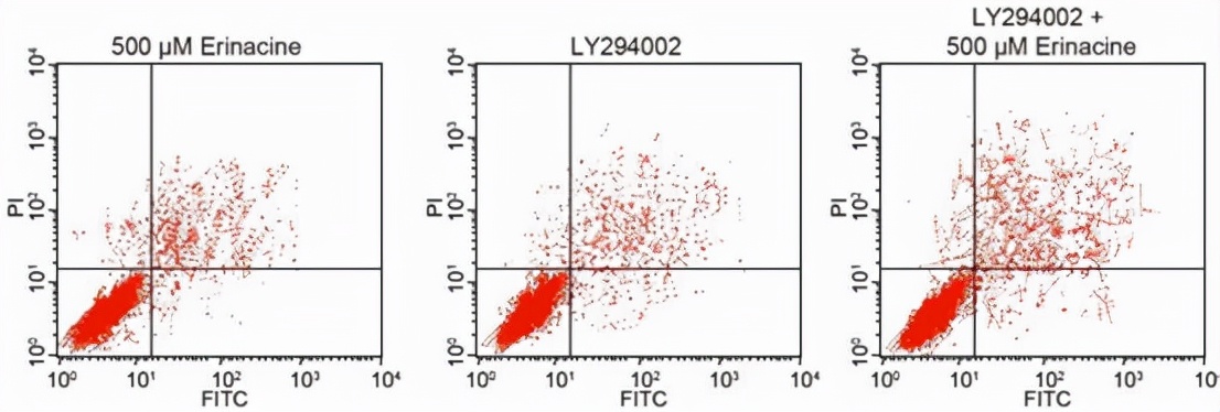 华北理工大学附属医院发表的SCI因图片疑似与他人文章重复遭质疑