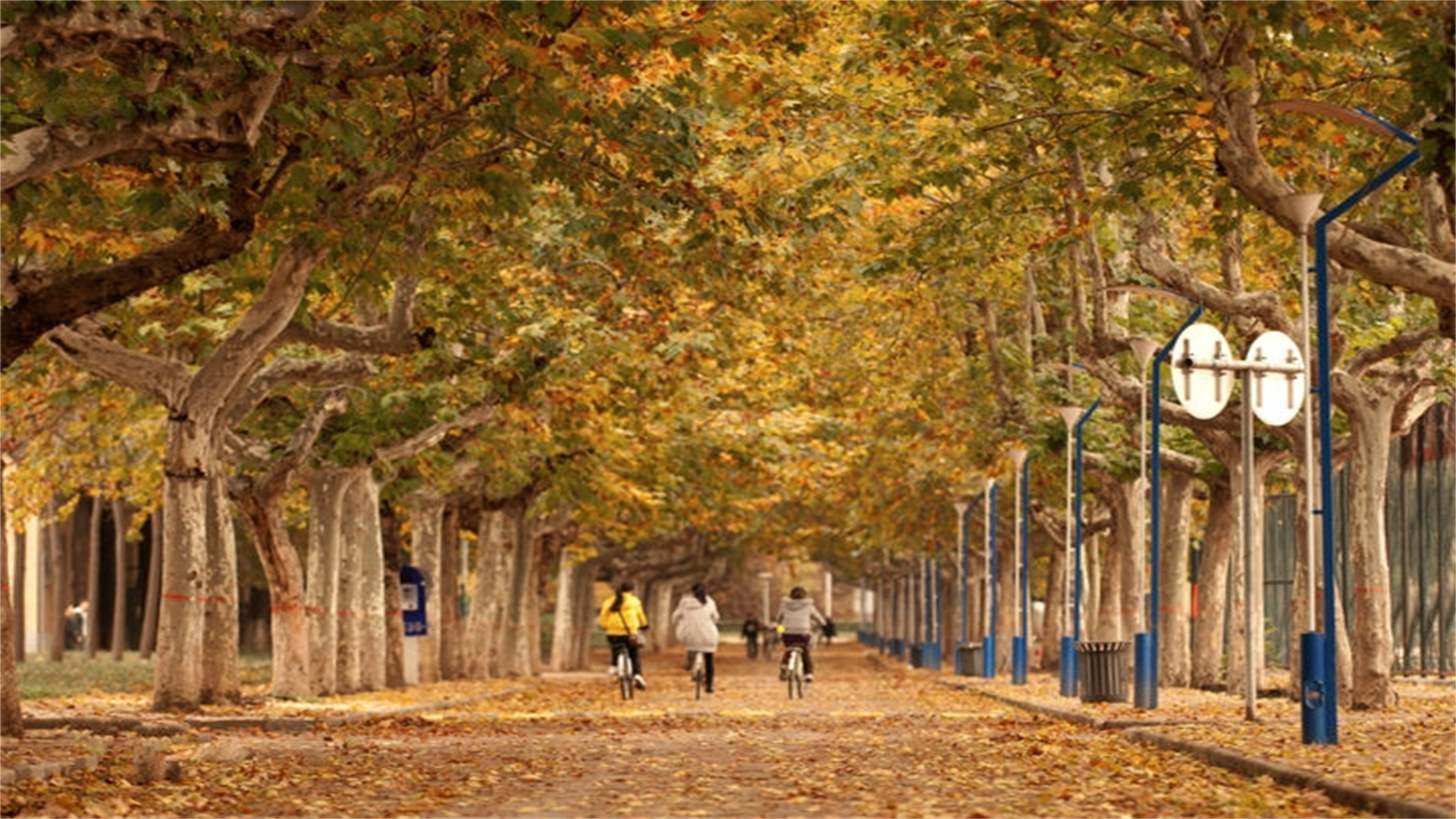 强基计划遇冷！这4所实力强的985高校，只要够一本的分数就可以