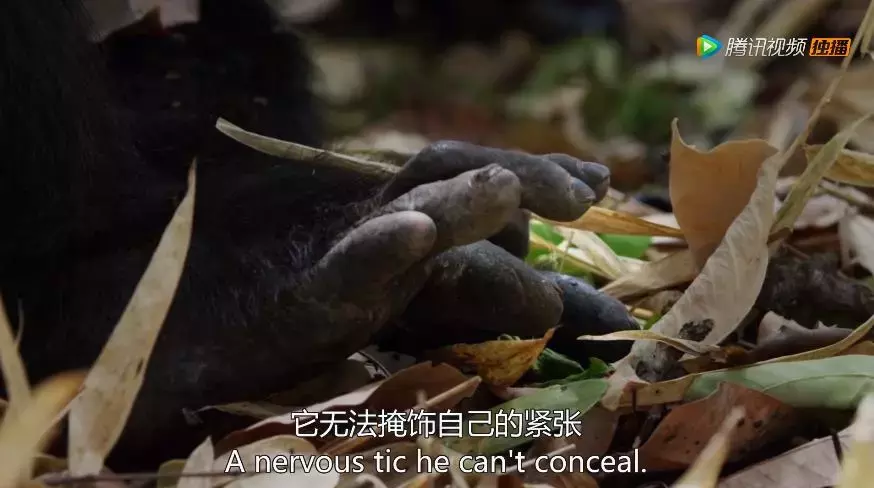 有的做人不及格,有的做到近满分
