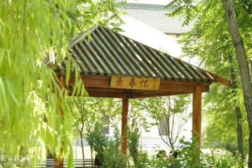 哈尔滨医科大学2018年本科招生录取分数