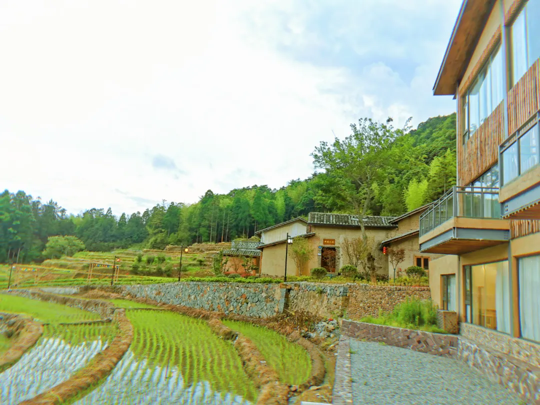 「宁德寿宁·梦龙天池」夏日避暑民宿，睡进湖光山色里