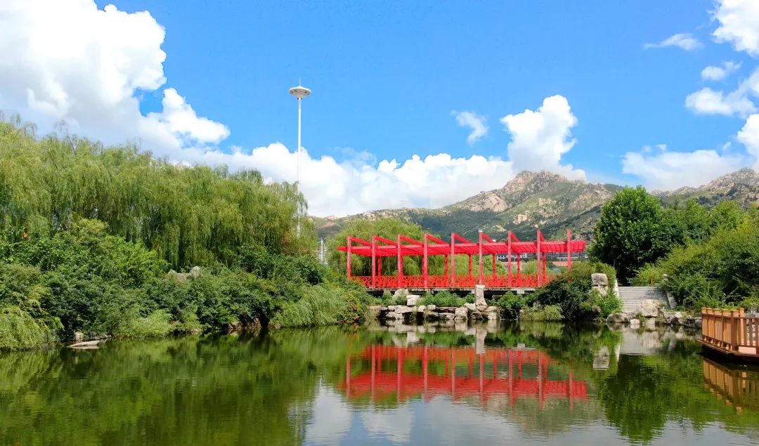 缤纷黄海|有一种美,叫校园风景