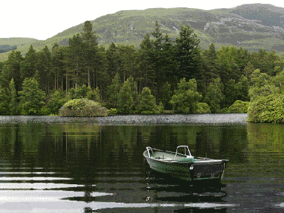 快来向水学习！
