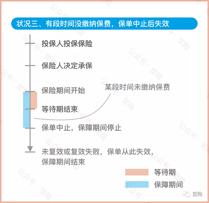 保费趸缴是怎么缴？宽限期、等待期怎么算？