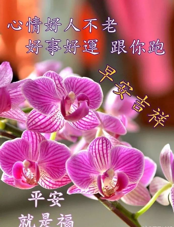 别惯坏，不领情的人； 别喂饱，不感恩的心，早安