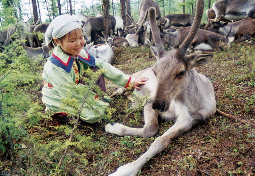 不怕冷、眼神好、像狗子......驯鹿还有啥不为人知的特点？