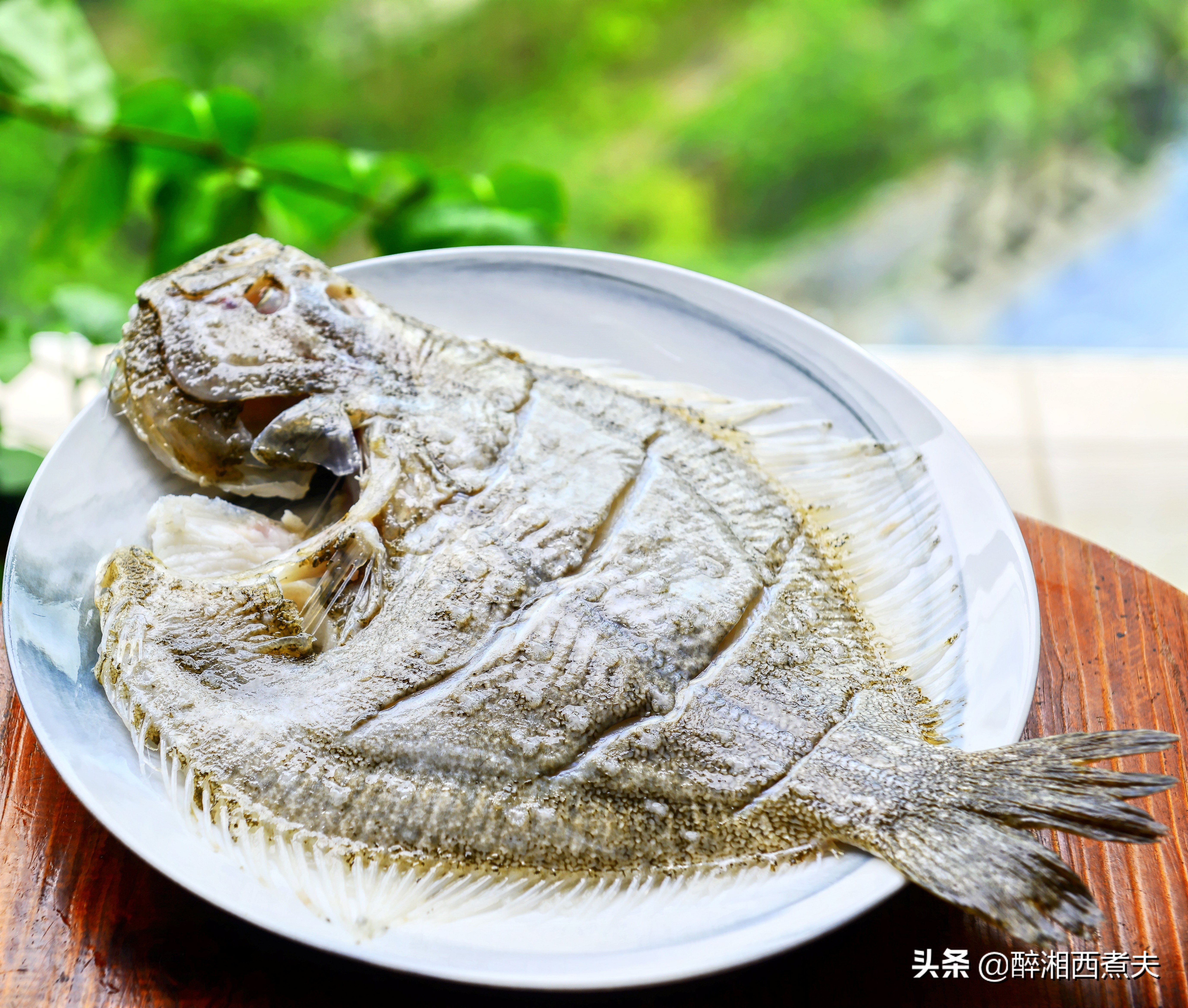 多宝鱼无鳞却很腥？一招教你轻松搞定去腥！清蒸多宝鱼鲜嫩又肥美