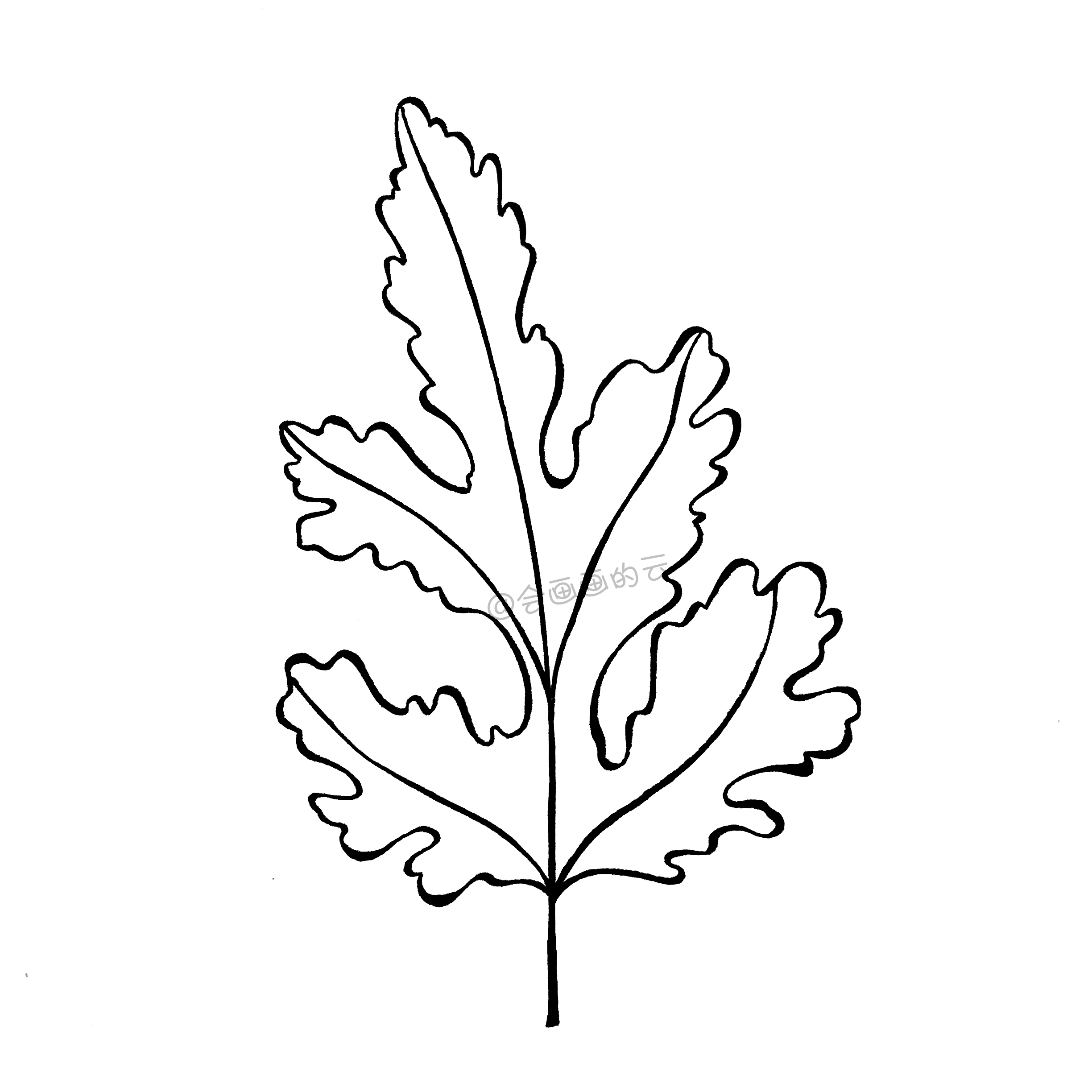 注意线条的粗细变化要均匀柔和;003,从叶子的底部开始画内部线条;画