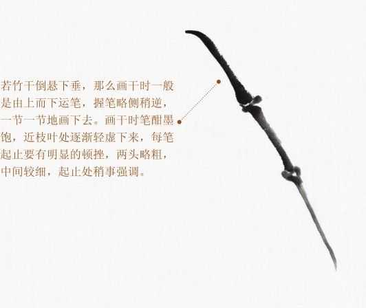 国画知识：分步骤图解画竹子不同形态，简单易学，收藏起来学习