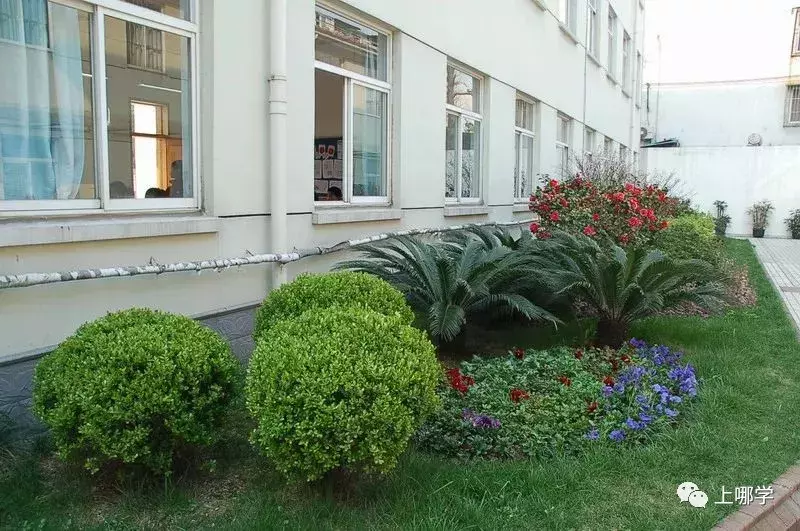 上海杨浦这所70年历史的小学师资很好，总部硬件正接受翻新