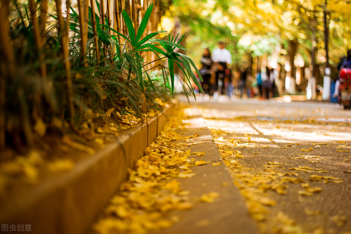 近三年全国各高校在云南省一本录取分数线排名（含文理）