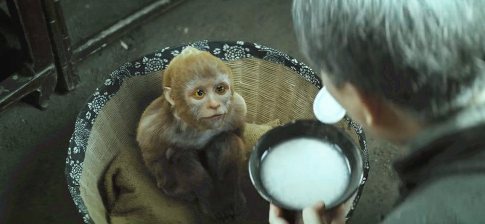 大马猴电影剧情「解析」 _晶羽科技