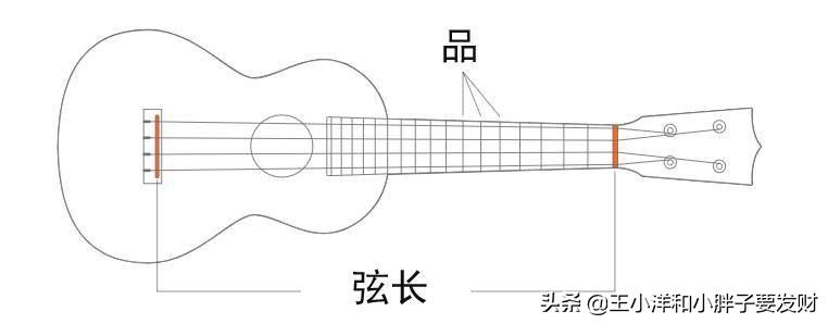 手把手教你选择人生中第一把尤克里里