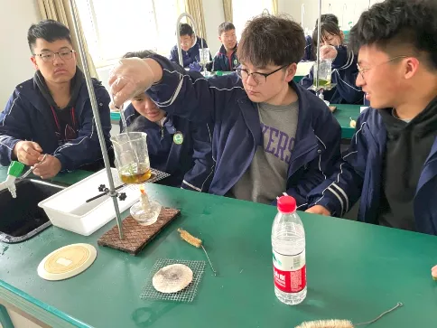 南京宇通实验学校：多彩的校本课程，促进孩子生命成长