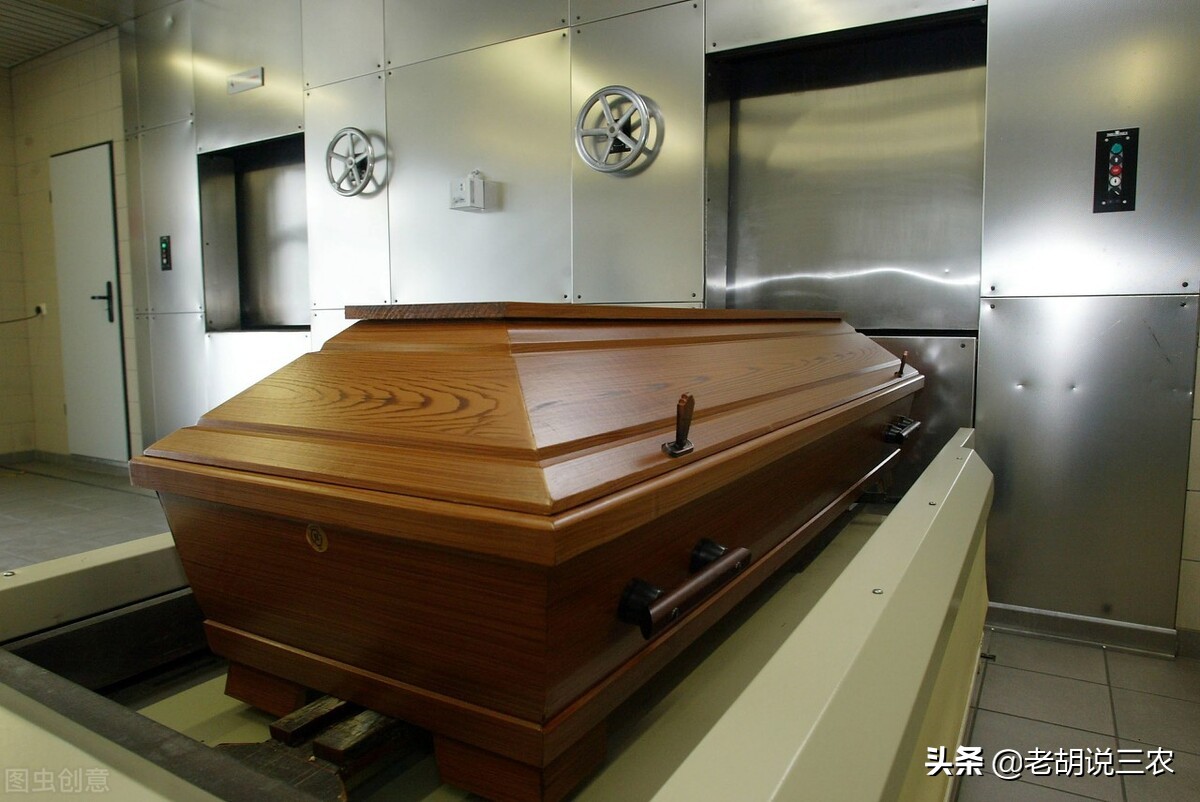 老农说:"柳木菜墩椿木案,桐木棺材金不换",这是怎么回事?