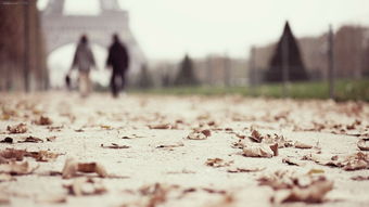 婚姻律师电话免费咨询（婚姻出现问题）