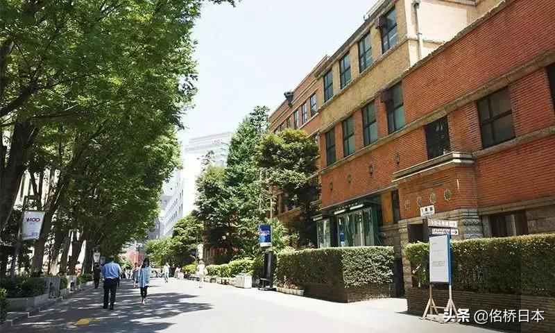 法学专业学生该如何择校？为什么日本法科大学院如此难考？