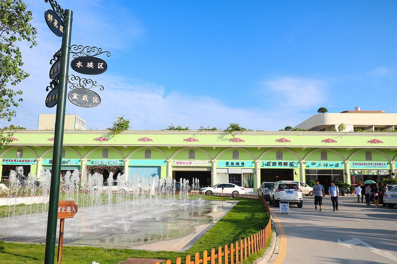 不容错过，深圳各有特色免费的十大主题公园