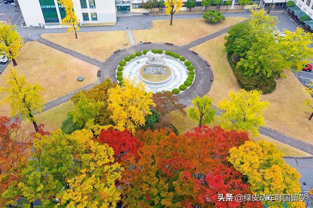 庆北大学（韩国的地方大学）